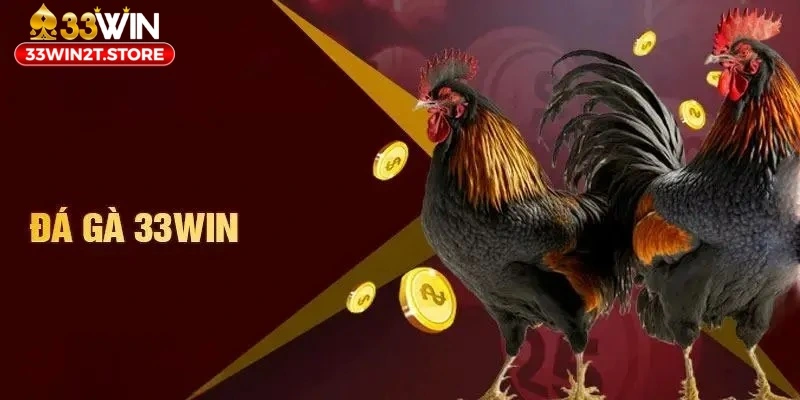 Những thông tin sơ lược nhất về sảnh cược đá gà 33WIN