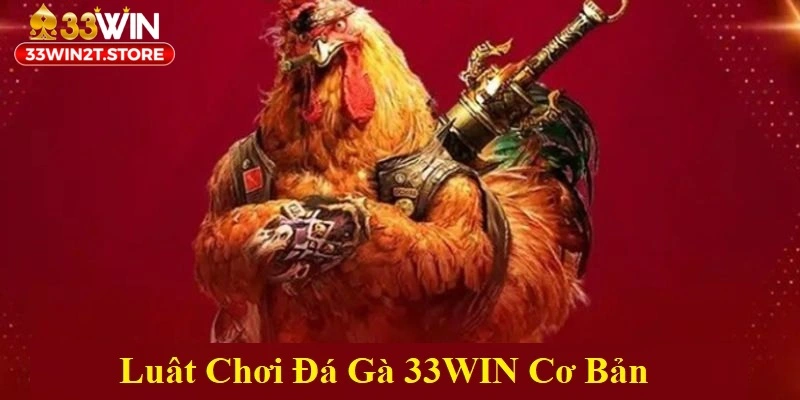 Luật chơi cơ bảm của đá gà 33WIN mà bạn cần nắm bắt