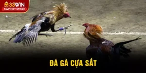 Đá gà cựa sắt